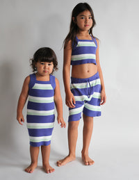 blueberry stripe knit dress