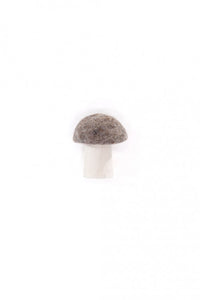 felt bolete mushroom - mushkane